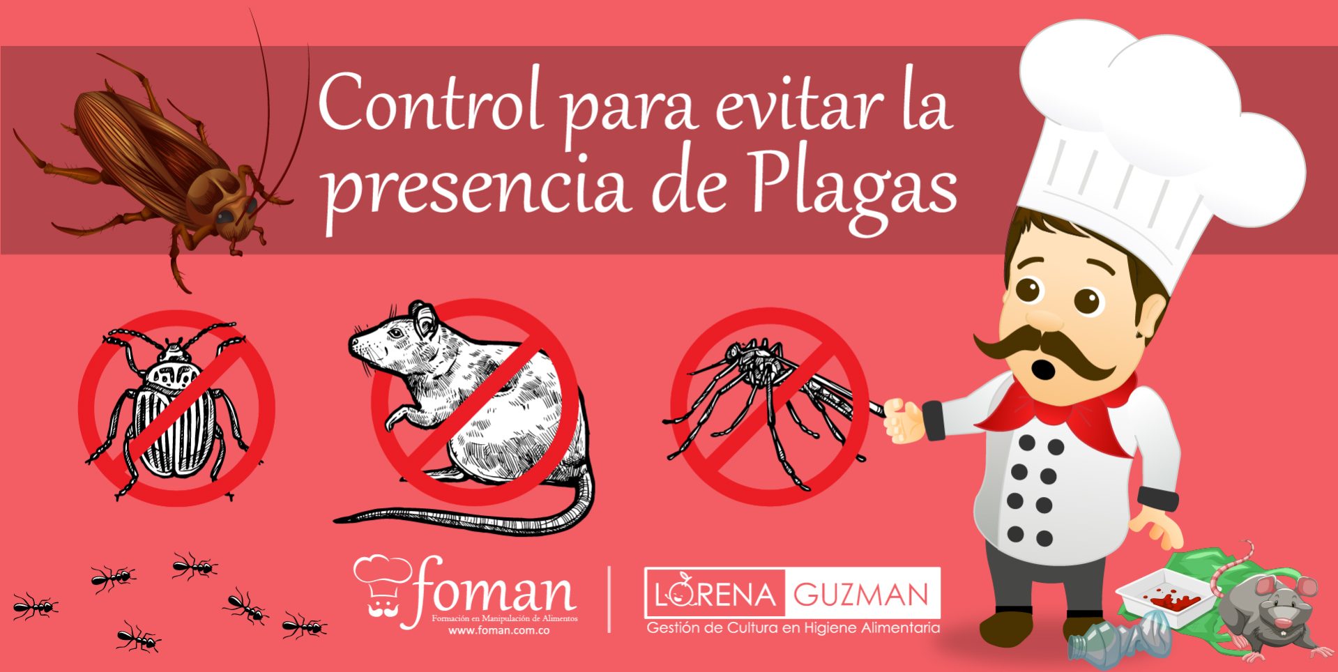 Control para evitar la presencia de Plagas